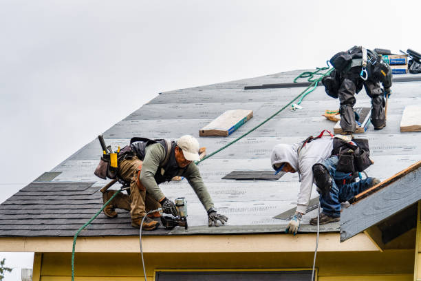Professional Gutter Installation technician working in Albertville, AL