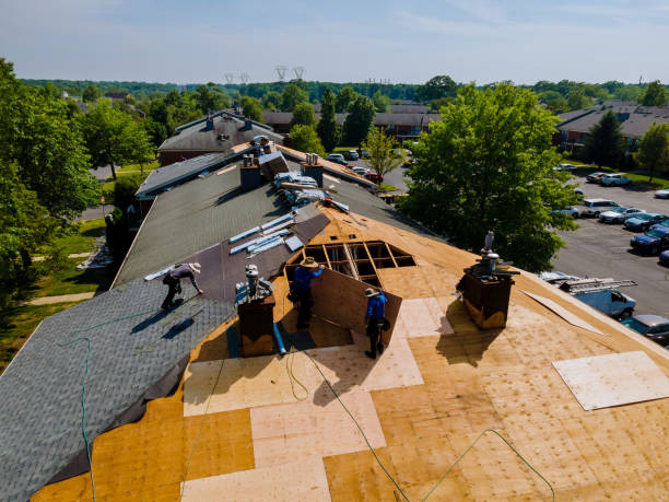 Trusted Storm Damage Roof Repair service in Albertville, AL - Brentwood Metal Roofing